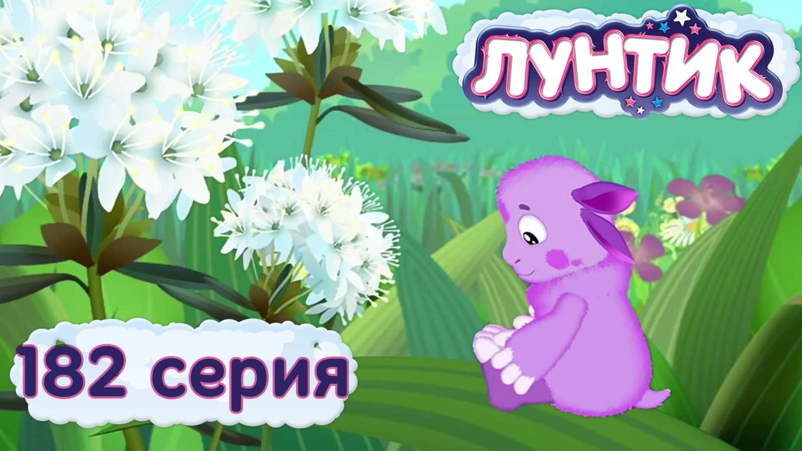 Лунатик цветок